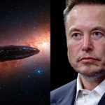 Did Elon Musk call 3I/ATLAS an alien ship? Here’s a fact check